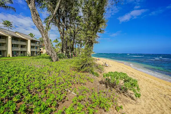 Endless Ocean Views Await