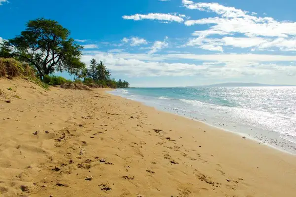 Unwind on the beautiful sandy beach just moments away