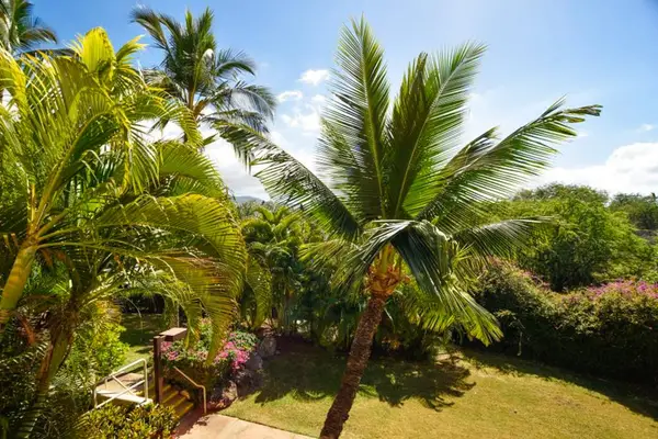 Tropical palms and greenery frame the beautiful resort grounds