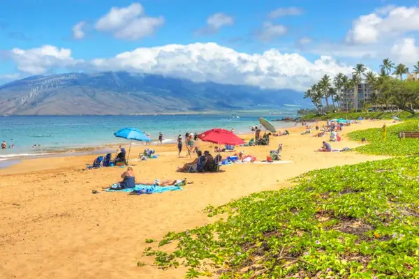Enjoy a sunny beach day with beautiful ocean scenery