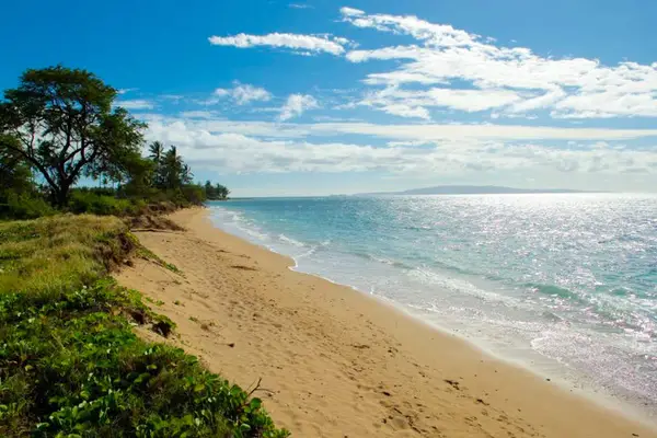 Take in peaceful ocean views along the sandy beach