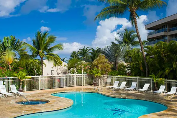 Refresh in the resort pool beneath swaying palm trees