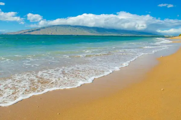 Spend the day along the beautiful sandy shoreline