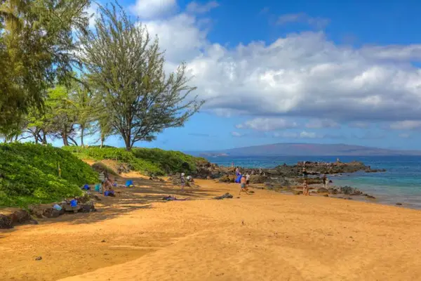 Scenic coastal views just steps from the shoreline