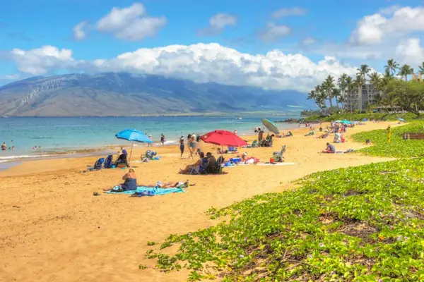 Spend the day relaxing along the beautiful sandy beach