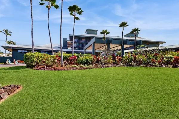 Unwind beneath swaying palms and tropical greenery daily