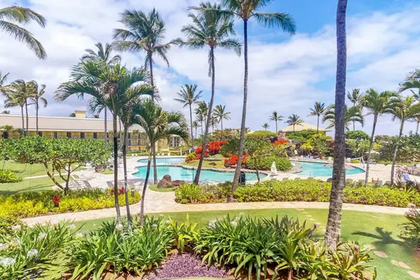 Tropical Resort Pool Surrounded By Palm Trees