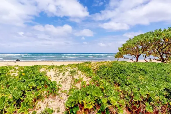 Tropical Beachfront Views Beyond The Resort Gardens