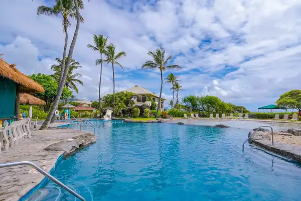 Inviting Resort Pool Surrounded By Palms