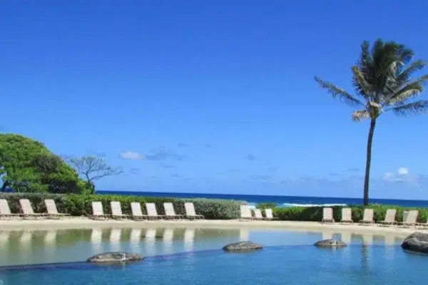 Infinity Pool With Ocean Views