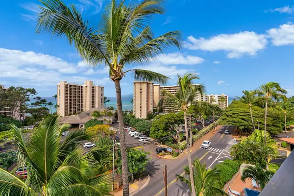 Palm Framed Views From Your Private Retreat