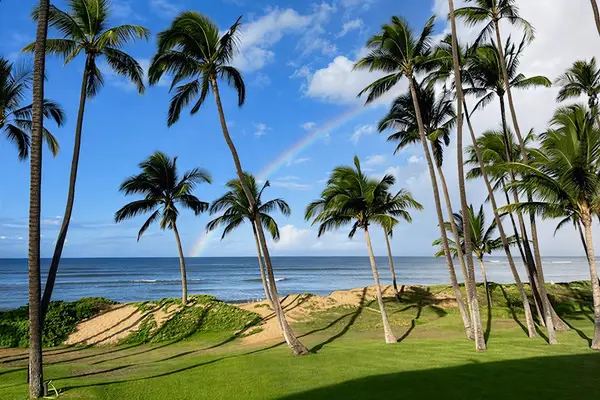 Tropical Coastline At Your Doorstep