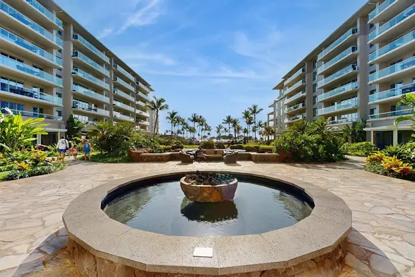 Peaceful Courtyard With Water Feature