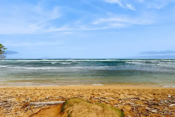 Golden Beachfront Escape Under Blue Skies