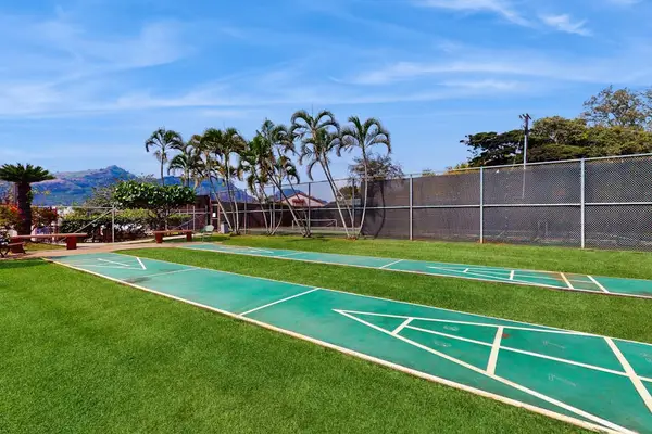 Shuffleboard Court For Family Fun