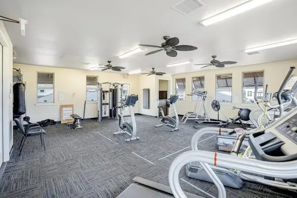 Spacious Gym With Premium Equipment