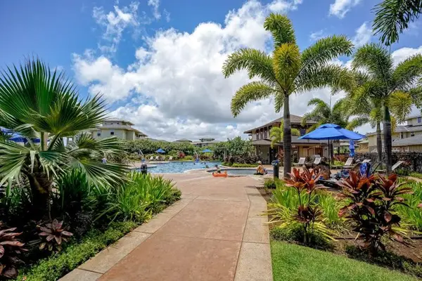 Lush Tropical Pathway To Paradise
