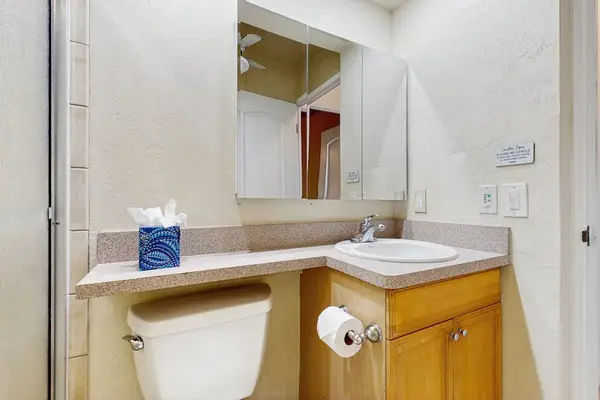Master bathroom with walk-in shower.