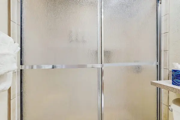 Master bathroom with walk-in shower.