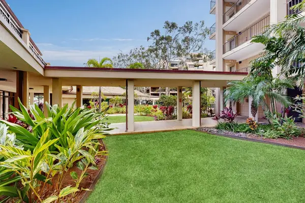 Lush Courtyard Oasis To Explore