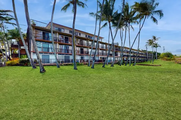 Oceanfront lawn with plenty of open space