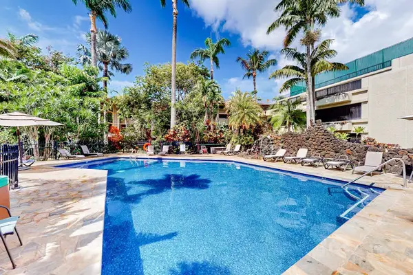 Sparkling pool surrounded by palm trees