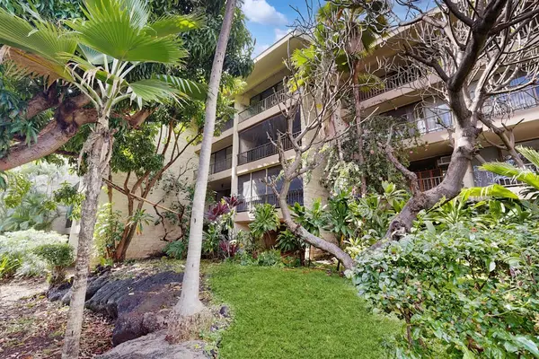 Exterior Building View Surrounded by Lush Tropical Landscaping