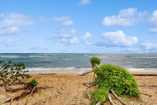 Peaceful Beachfront Escape