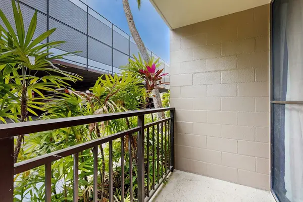 Tropical Garden Walkway