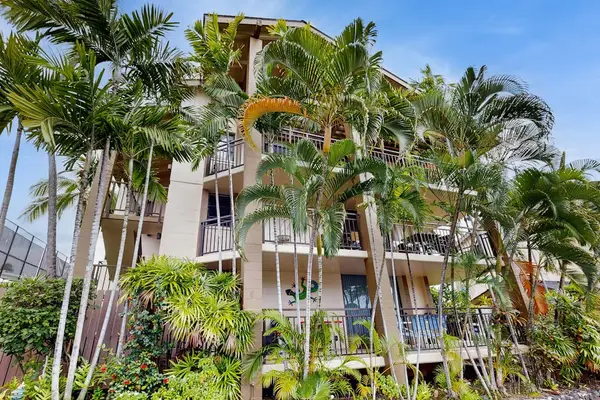 Building Nestled in Tropical Palms