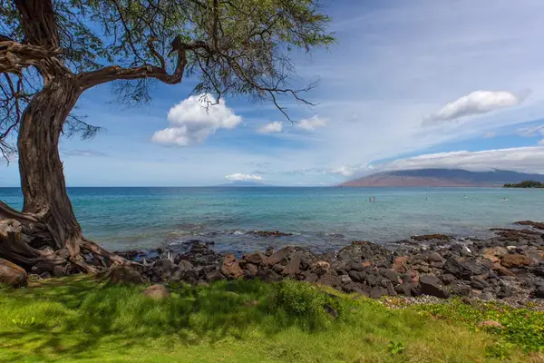 Scenic shoreline with rocky points and breathtaking views of the Pacific Ocean