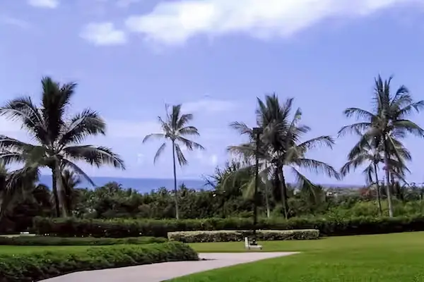Tropical grounds showcase swaying palms manicured lawns and peaceful pathways