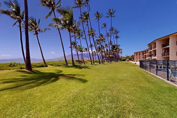 Lush grassy lawns surrounded by beautiful tropical trees create a peaceful island setting.