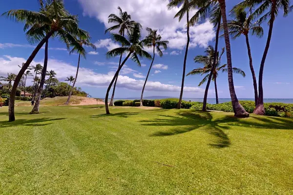 Lush grassy lawns surrounded by beautiful tropical trees create a peaceful island setting.