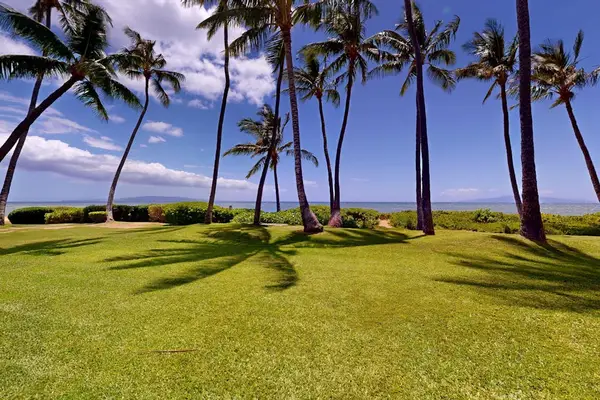 Lush grassy lawns surrounded by beautiful tropical trees create a peaceful island setting.