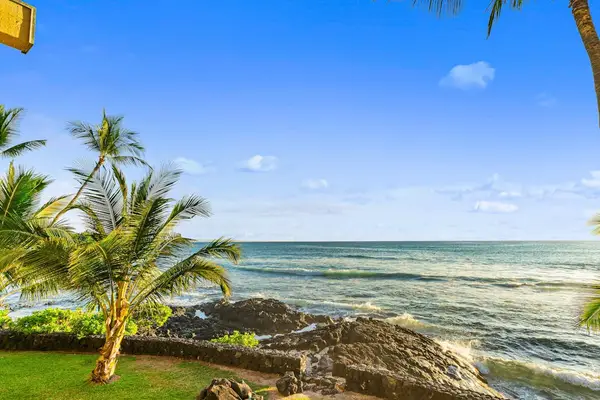 Lush Tropical Lawns Meeting Deep Blue Sea Breezes