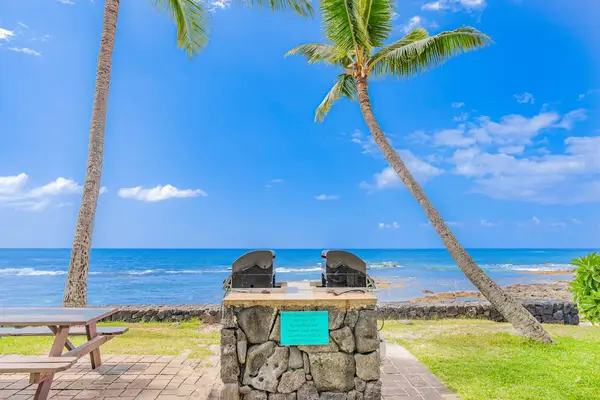 Fire Up The Oceanfront Grill Under Swaying Palm Trees