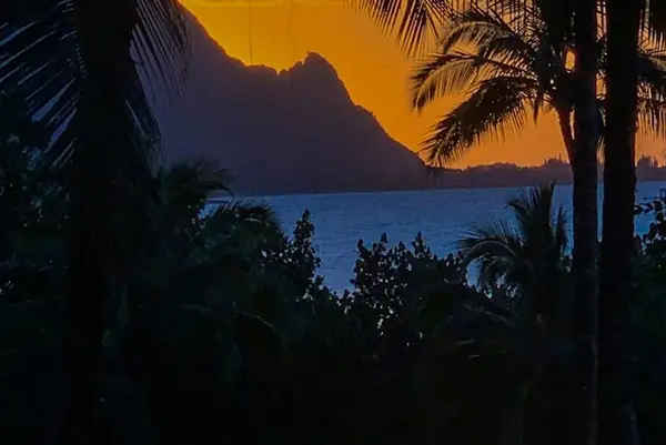 Sunset silhouettes jagged mountains beyond palms and calm ocean waters