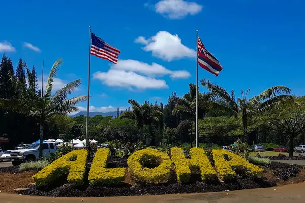 Colorful Aloha garden display welcomes visitors beneath bright Hawaiian flags