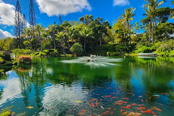 Tropical garden pond reflects palms greenery and peaceful island sunshine
