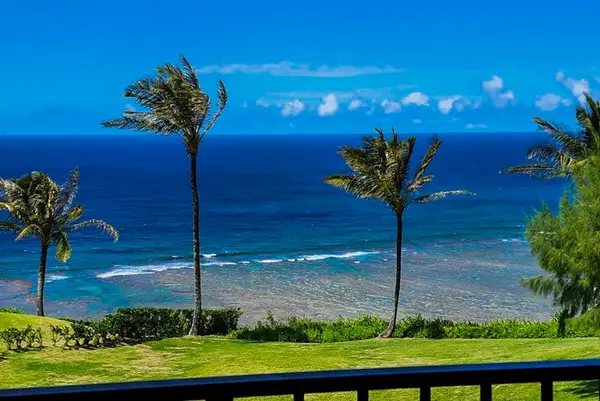 Ocean waves roll beneath palms as island mountains frame views
