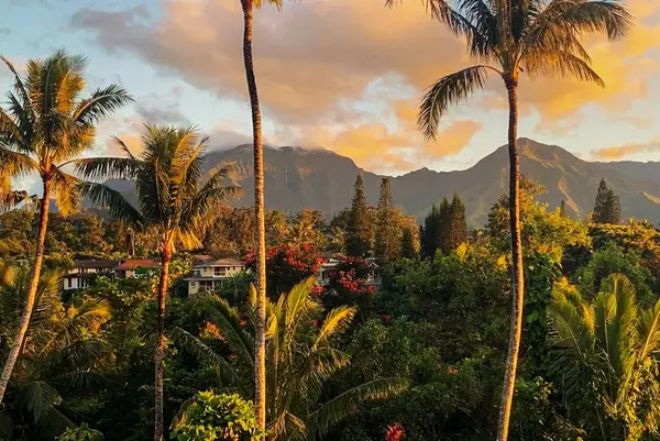 Golden palms frame lush mountains beneath dramatic tropical sunset sky