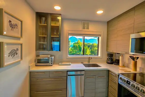 Compact kitchen features modern cabinetry appliances and tropical window views