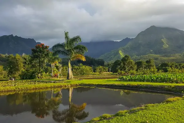 Mountain valley ponds mirror palms clouds and lush tropical hillsides