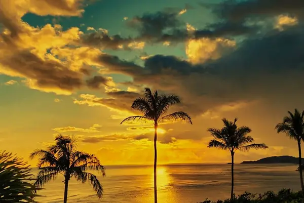 Palm silhouettes rise beneath fiery clouds above the tropical horizon