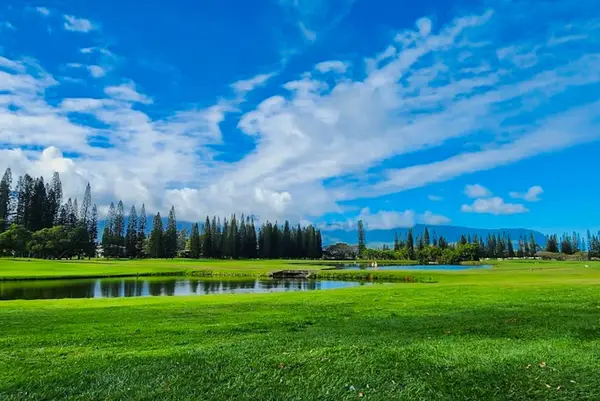 Lush resort lawn stretches toward palms under blue island skies