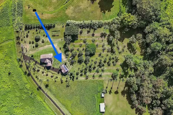 This exquisite one-bedroom apartment is nestled within a peaceful five-acre botanical estate, offering a serene retreat.