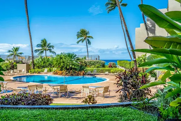 Palm Lined Pool Perfect For Sunny Island Days