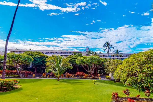 Tropical Surroundings Await