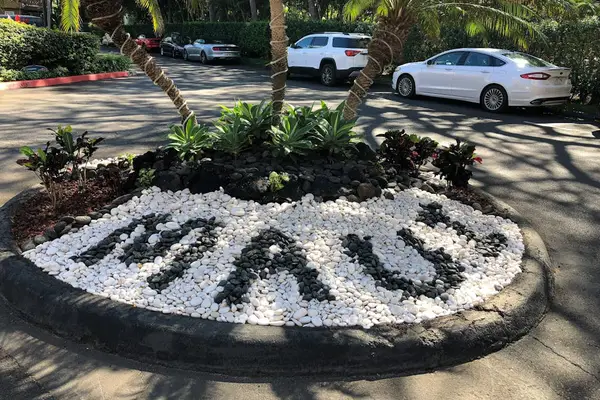 Welcome To Your Tropical Paradise Escape